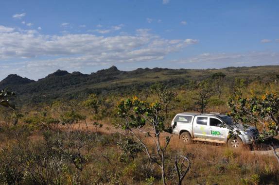 Fiona transita no Parque dos Pirineus, em Pirenópolis - GO